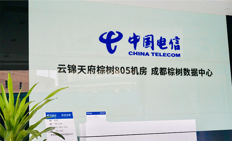深圳云锦天府-棕树805机房(棕树机房) 深圳云锦天府-棕树805机房(棕树机房)