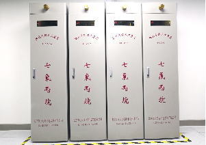 棕树机房消防系统 棕树机房消防系统